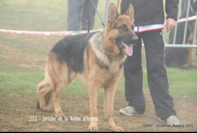 Jericho de la vallée d'Asdess 